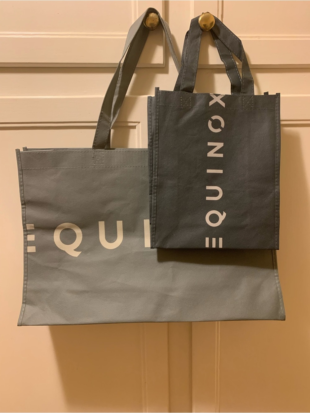Equinox canvas bags: Set of 2